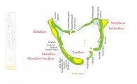 Карта Адду Атолла