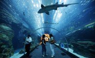 Аквариум и Подводный зоопарк
