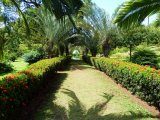 Ботанический сад Сент-Винсента