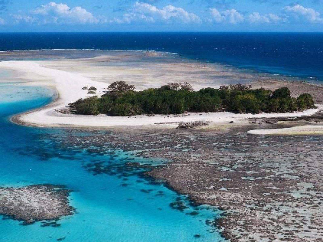 барьерный риф в австралии