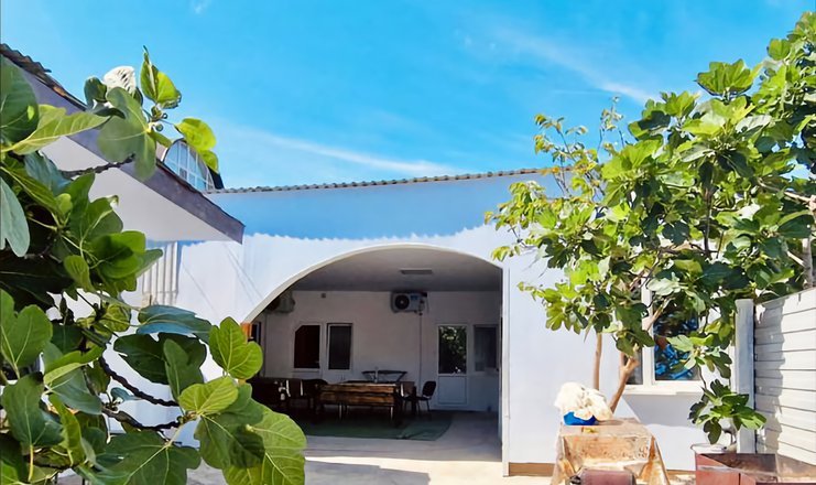 Рождество в сочи. Сочи картинки. Сочи на 3 ночи. Олимпийский парк сочи. Звездный отель wellness & spa 4*.