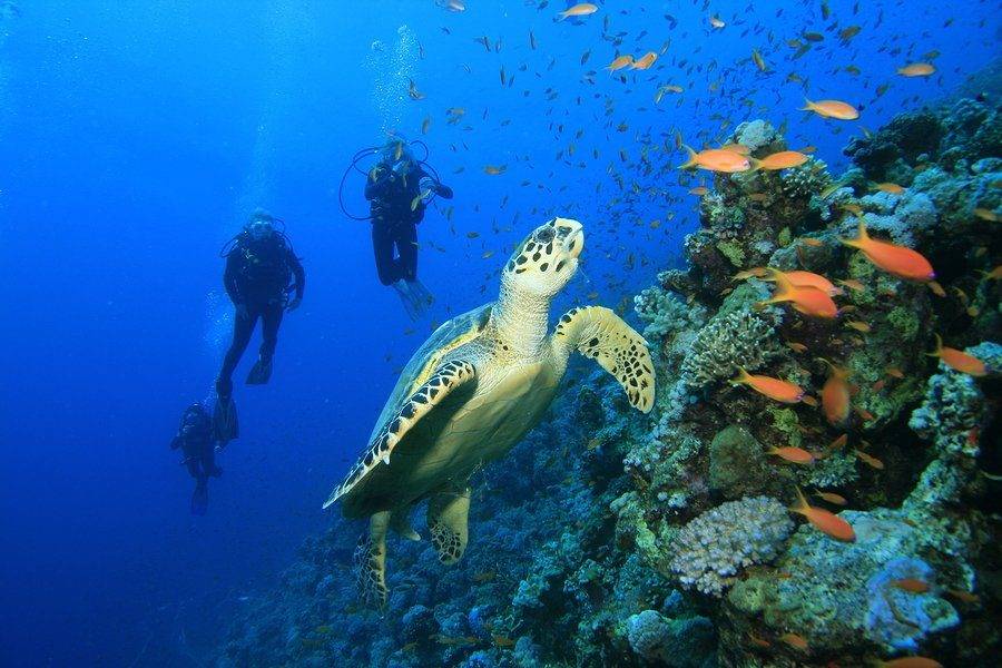 Косумель Карибское море