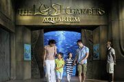 Аквариум «Lost Chambers» в отеле Atlantis 