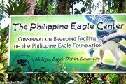 Центр изучения филиппинских орлов 