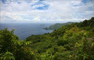 Тобаго Форест Резерв (Лесной Заповедник Тобаго/Tobago Forest Reserve)